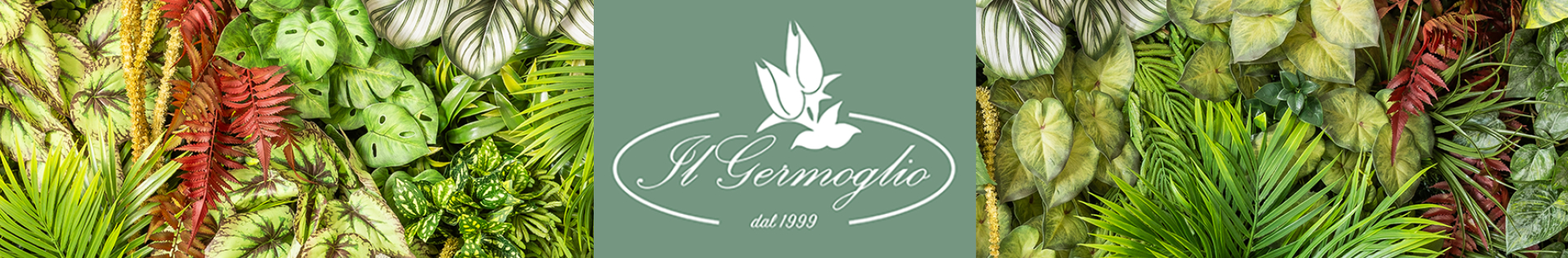 Il Germoglio Cooperativa Sociale