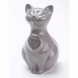 Urna gatto grigio chiaro