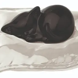 Urna gatto nero su cuscino