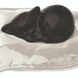 Urna gatto nero su cuscino