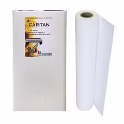 Rotoli Carta per Plotter