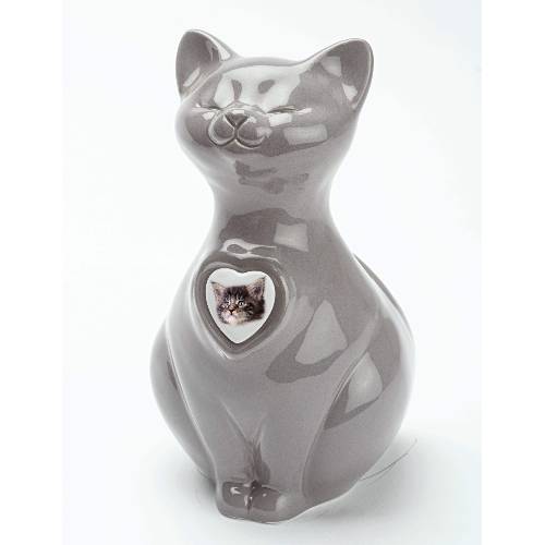 Urna gatto grigio chiaro