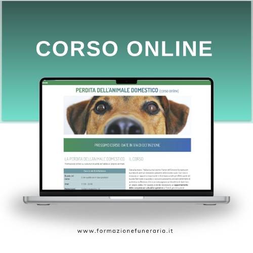 Corso online sulla Perdita dell