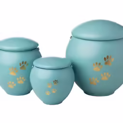 URNA PET 0.4L - 0.8L - 1.8L