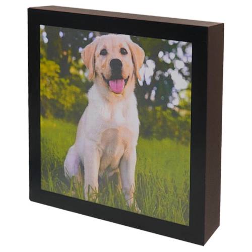 URNA PET QUADRO 3.0L