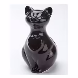 Urna gatto nera
