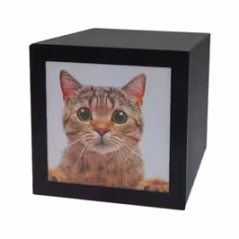 URNA PET CUBE 1.3L - 3L