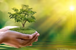 Green Funerals: Final Farewell in Harmony with Nature