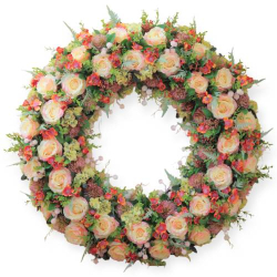 CC018 CORONA GRANDE