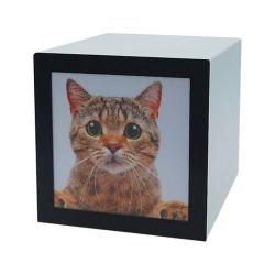 PET CUBE URN 1.3L - 3L