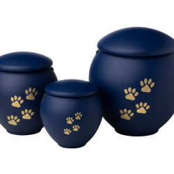 URNA PET 0.4L - 0.8L - 1.8L