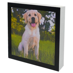 URNA PET QUADRO 3.0L