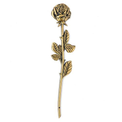 ROSE TP
